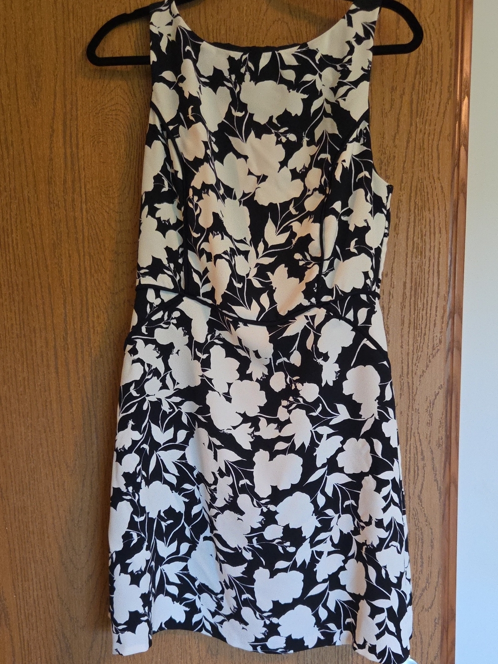 The Limited Black and White Floral A-Line Mini Dress